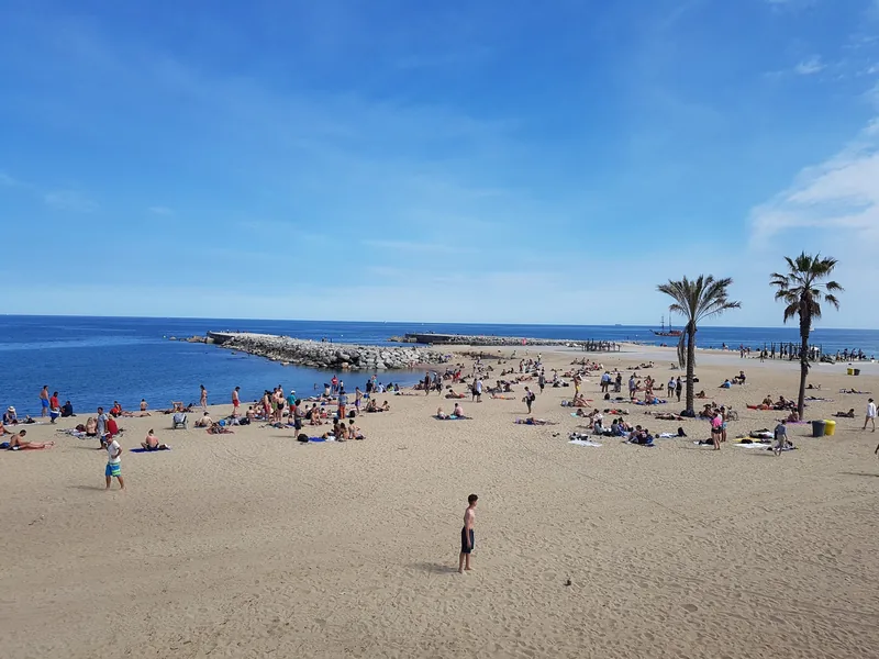 Người tắm nắng và bơi lội đông đúc trên bãi biển Barceloneta dưới bầu trời xanh, có cây cọ và đê chắn sóng đá.